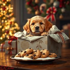 2b869e5abead2d437de432ceec66f906 Nutrition for all pets